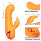 CALEXOTICS - MONTECITO MUSE  RABBIT VIBRATOR ORANGE