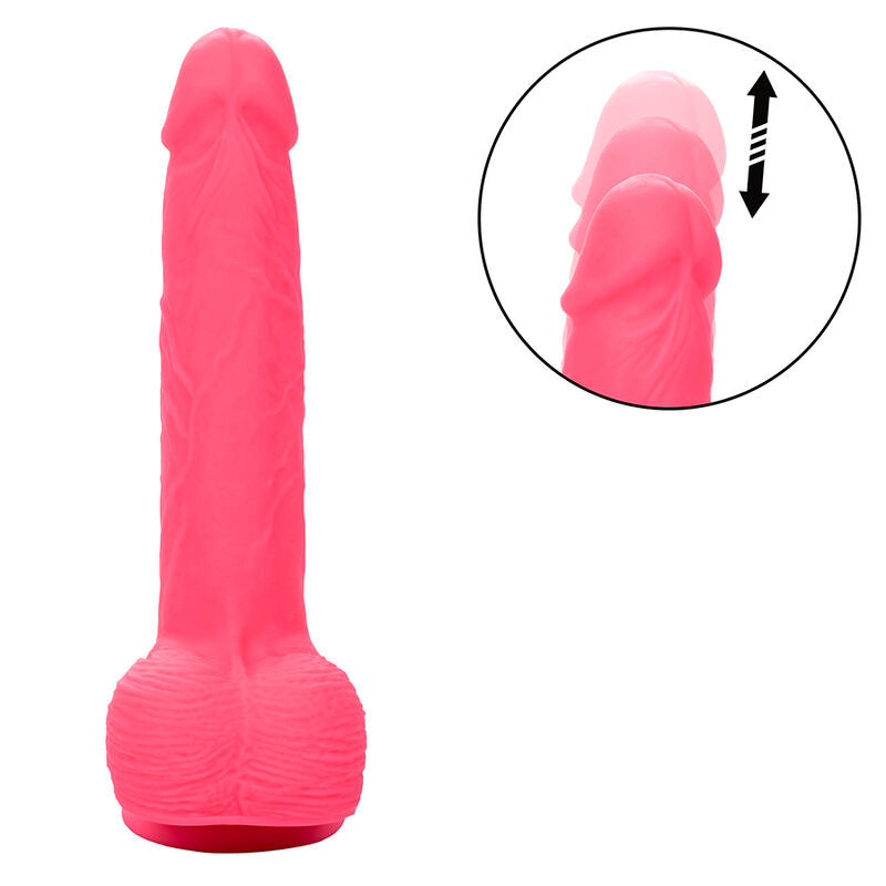 CALEXOTICS - STUDS REALISTIČNI DILDO VIBRATOR PINK