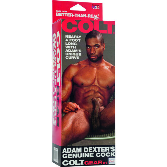 CALEXOTICS - COLT ADAM DEXTER - DILDO